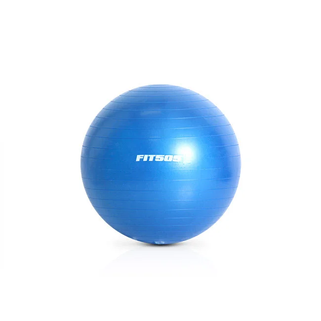 Bargain Prices FIT505 55cm Stability Ball